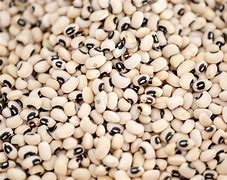 Image result for the black eyed peas