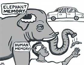 Image result for Elephant Memory Cartoon