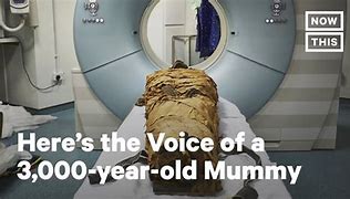 Image result for 3000 Year Old Mummy Voice