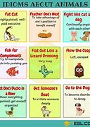 Image result for Animal Idioms