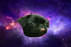 Image result for Galaxy Puppy Background
