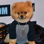 Image result for How to Draw Jiffpom