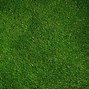 Image result for Cricket Field Stock Image