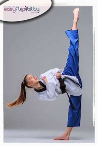 Image result for Split Female Martial Arts Poses