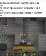 Image result for Grian Minecraft Memes