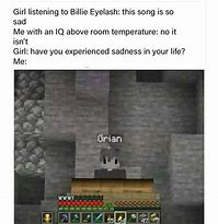 Image result for Minecraft Memes Grian