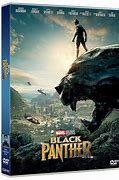 Image result for DVD Panther 5