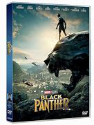 Image result for Black Panther DVD