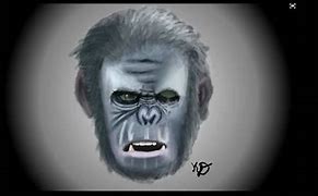 Image result for Planet of the Apes Meme Go