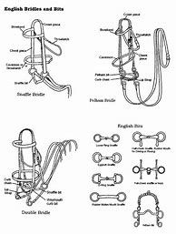 Image result for Horse Reins and Bits