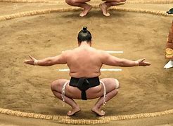 Image result for Japan Sports Sumo
