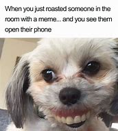 Image result for Cringy Dog Faces Memes