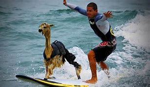 Image result for Funny Summer Holiday Fails