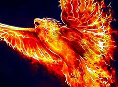 Image result for Ave Fenix Real Foto