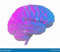 Image result for Blue and Pink Brain