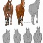 Image result for Front-Facing Horse No Background