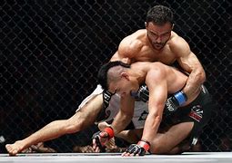 Image result for Secrets of Mixed Martial Arts Fighters