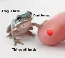 Image result for Sad Frog MEME Funny