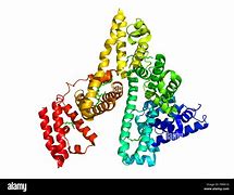 Image result for albuninoide