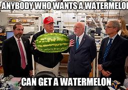 Image result for Allergic to Watermelon Meme
