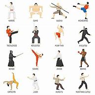 Image result for types of martial arts