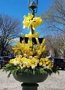 Image result for Galena Crosse Daffodil Festival