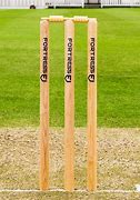 Image result for Cricket Sport Wicket