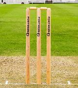 Image result for Cricket Animation Wicket