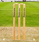 Image result for Cricket Products