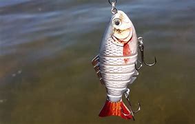 Image result for Jointed SwimBaits