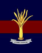 Image result for Welsh Guards Prince of Wales Company Logo
