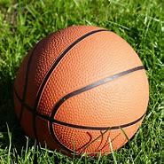 Image result for Basket with Half Ball