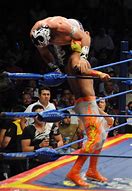 Image result for Mexican Wrestling Lucha Libre