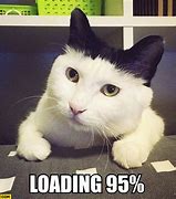 Image result for Angry Cat Loading Meme