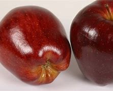 Image result for A Picture of 2 Apple's