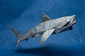 Image result for Tin Foil Shark