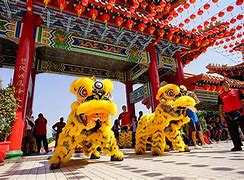 Image result for Lion Dance New Year