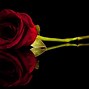 Image result for Black Red Gold Rose