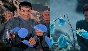 Image result for Star Trek Picard Space Flowers