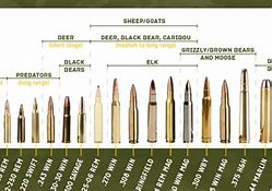 Image result for Bullet Size Chart for Hunting