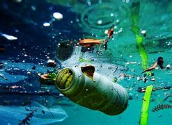 Image result for Soda Tin Can Pollution Ocean