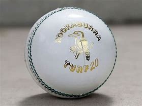 Image result for Cricket Ball SVG