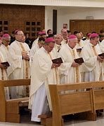 Image result for Pope and Bishops