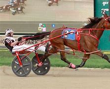 Image result for Harness Horse Racing