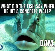 Image result for Surprised Fish Meme