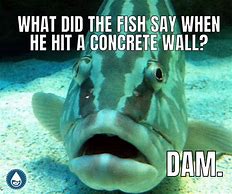 Image result for Small Fish Meme