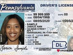Image result for America Driver License