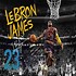 Image result for LeBron James Poster Dunk Lakers