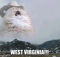 Image result for West Virginia Cat Meme