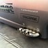 Image result for Zoomies Exhaust